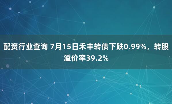 配资行业查询 7月15日禾丰转债下跌0.99%，转股溢价率39.2%